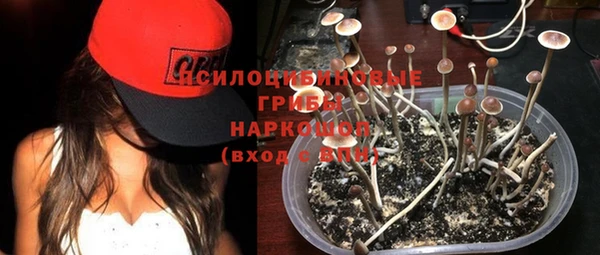 синтетический гашиш Алексин